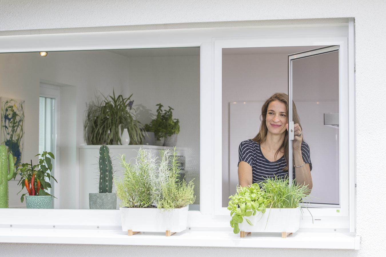 Neher Insektenschutz Drehfenster Traumtüren und Fenster Studio Hamm